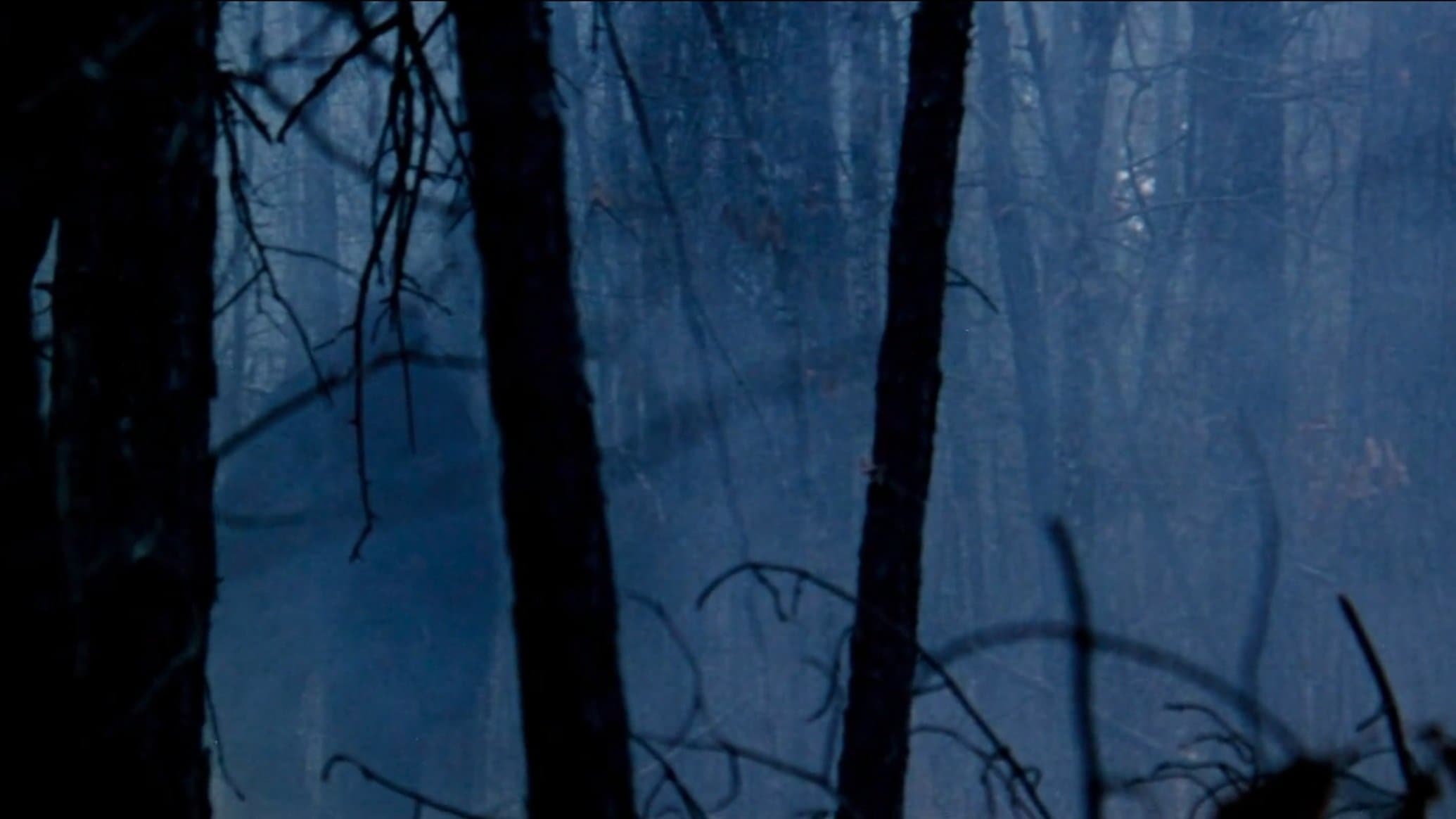 The Legend of Boggy Creek